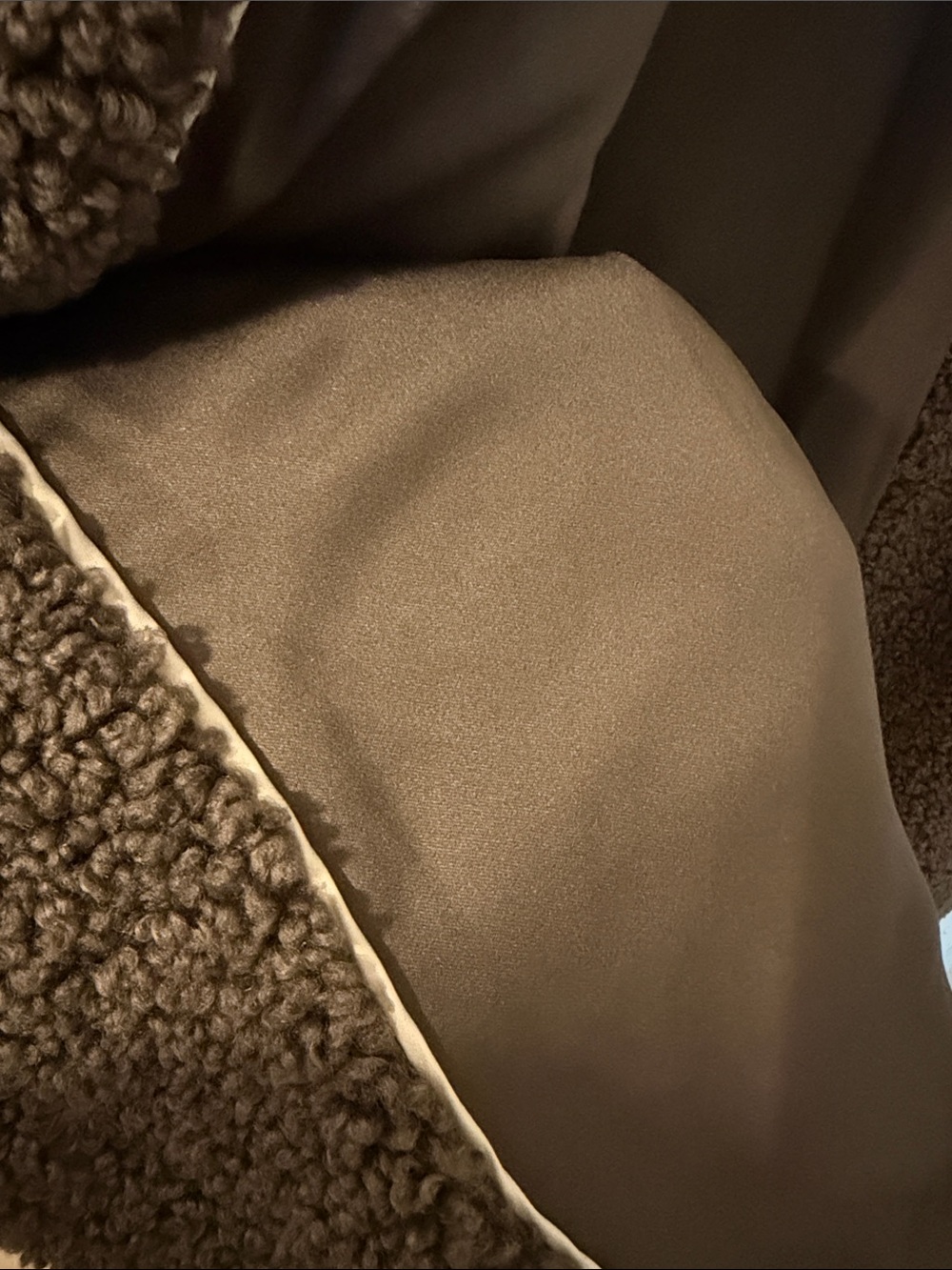 BCBGMaxAzria Taupe Teddy Long Coat with Notch Collar - Picture 11 of 12